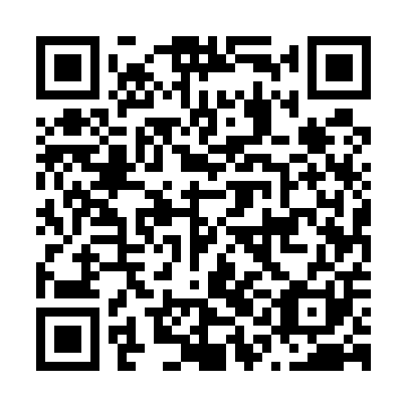 QR code for N1E 501
