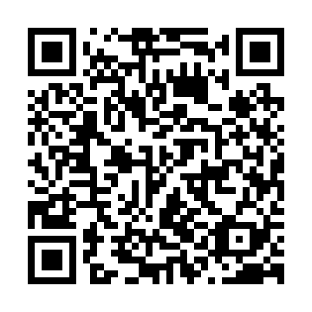 QR code for N1E229