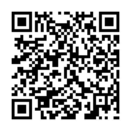 QR code for plate N1E 255