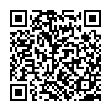 QR code for N1E303