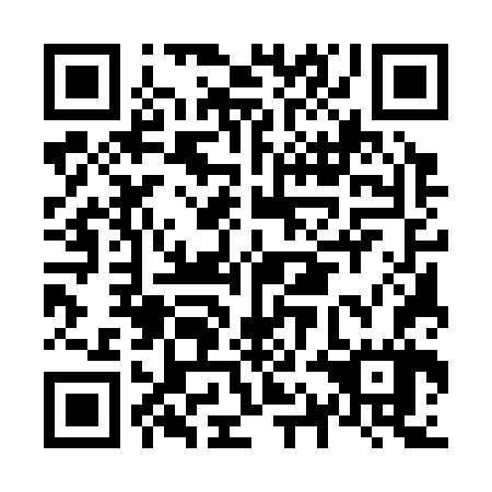 QR code for plate N1E 367