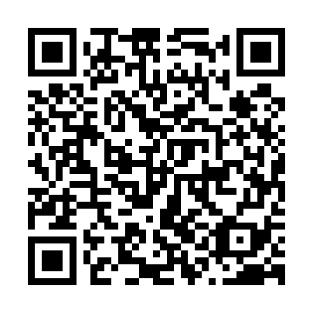 QR code for plate N1E 579