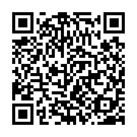 QR code for plate N1E 799