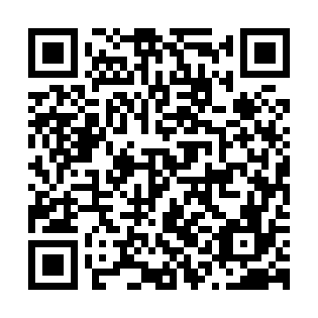 QR code for plate N1E 876