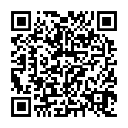 QR code for N1F 300