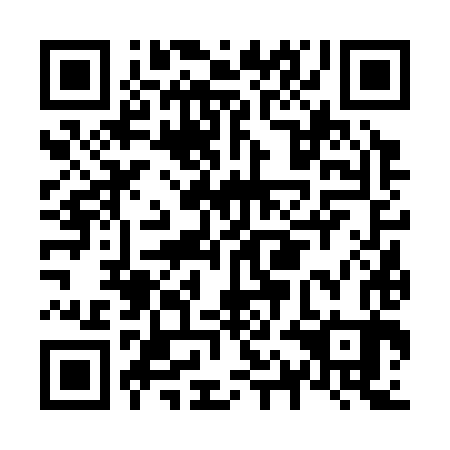 QR code for N1F 383