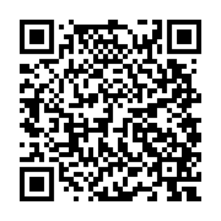 QR code for N1F 741