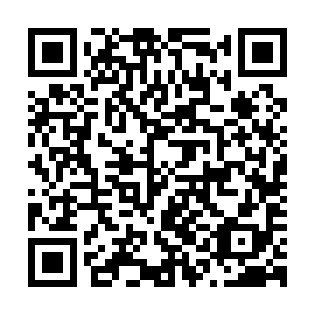 QR code for plate N1F 198