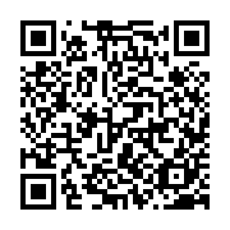 QR code for N1F800