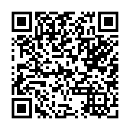 QR code for N1G 381