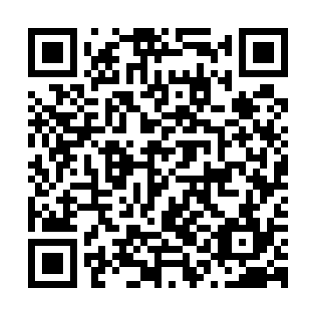 QR code for N1G 534