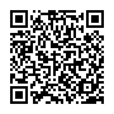 QR code for plate N1G 091