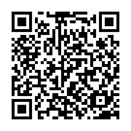 QR code for plate N1G 335
