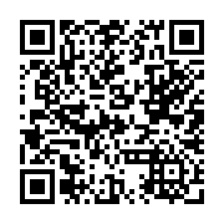 QR code for plate N1G 396