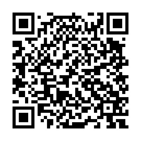 QR code for plate N1G 463