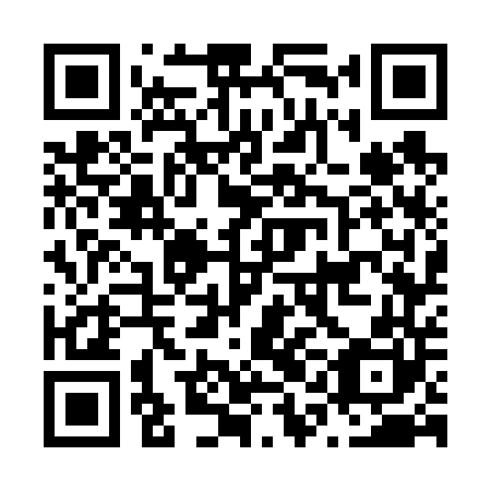 QR code for plate N1G 640