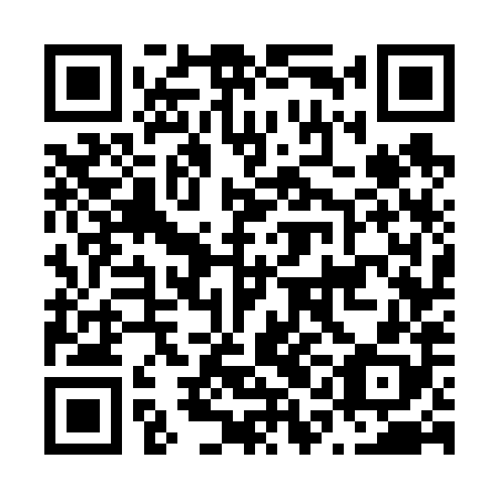 QR code for plate N1G 688
