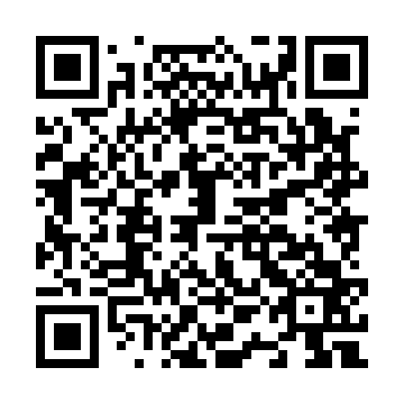 QR code for N1H 163