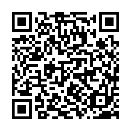 QR code for N1H 313
