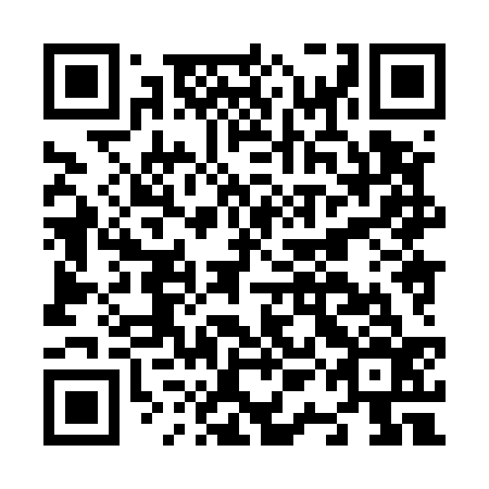 QR code for N1H 536