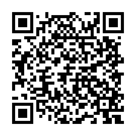 QR code for N1H 541