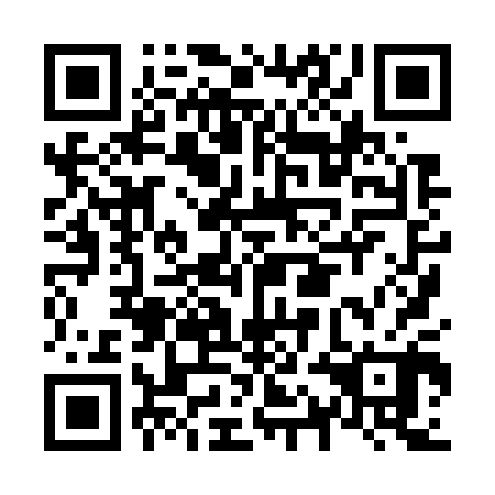 QR code for N1H 700
