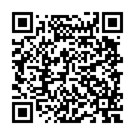 QR code for N1H485
