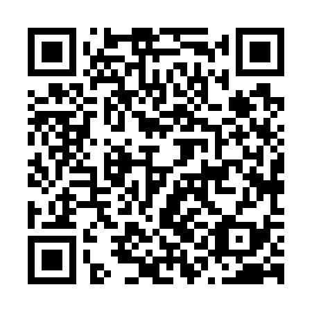 QR code for plate N1H 739