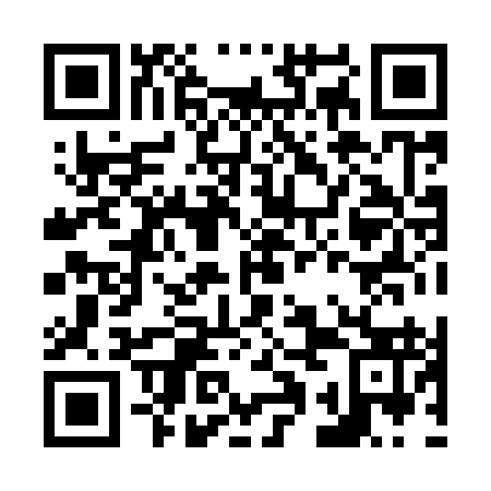 QR code for N1H993