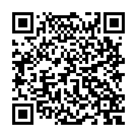 QR code for N1I 126