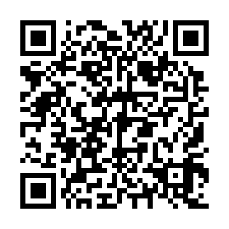 QR code for N1I 319