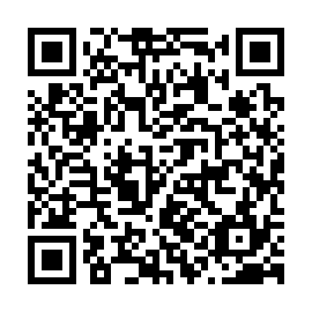 QR code for N1I 334