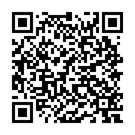QR code for N1I 353
