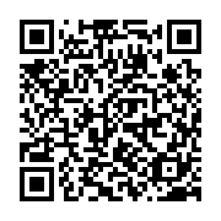 QR code for N1I 370