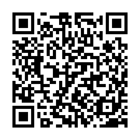 QR code for N1I 391