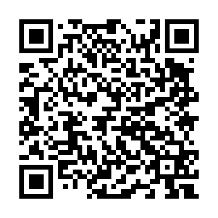 QR code for N1I 460