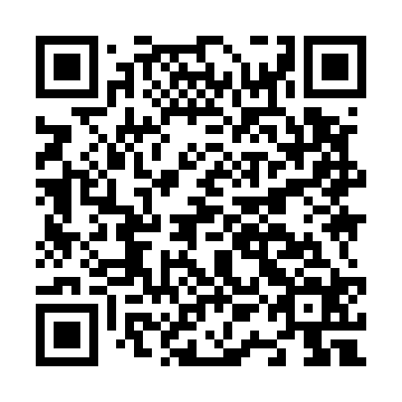 QR code for N1I 524