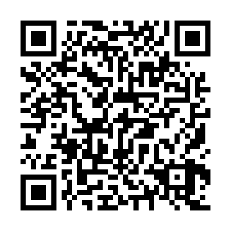 QR code for N1I 528