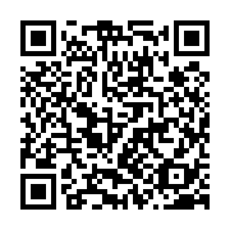 QR code for N1I 538