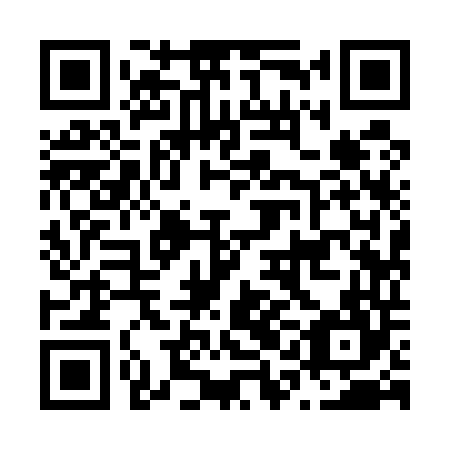 QR code for N1I 544
