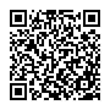 QR code for N1I 546