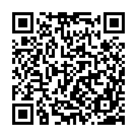 QR code for N1I 856