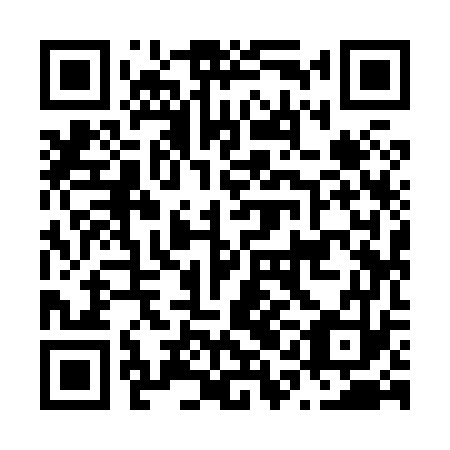 QR code for N1I 873