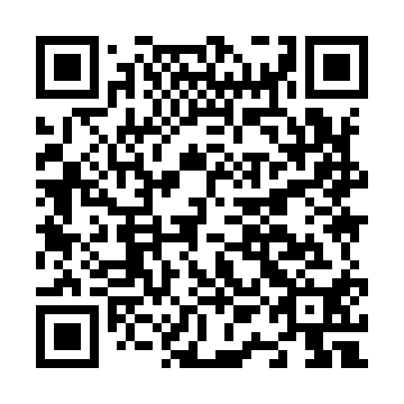 QR code for N1I 910
