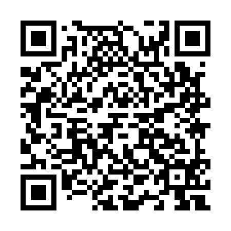 QR code for N1I194