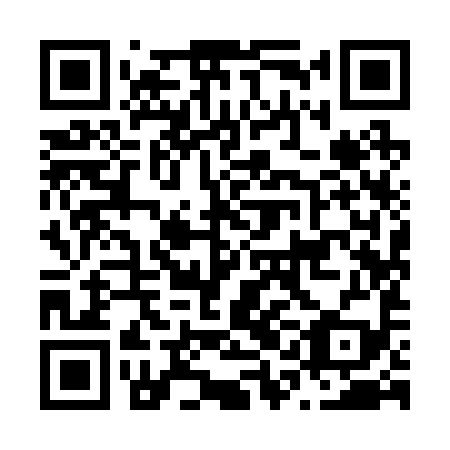 QR code for plate N1I 299