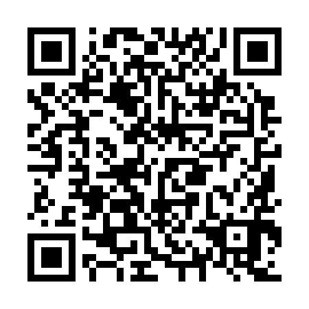 QR code for N1I390