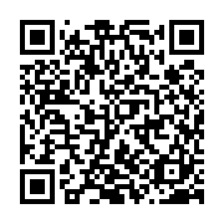 QR code for plate N1I 523