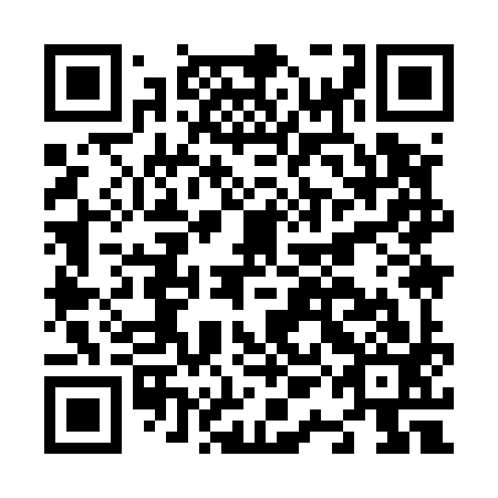 QR code for plate N1I 593