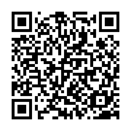 QR code for N1K 175